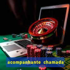 acompanhante chamada de video